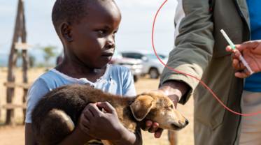 A young girl is holding her puppy which is about to be vaccinated against rabies.