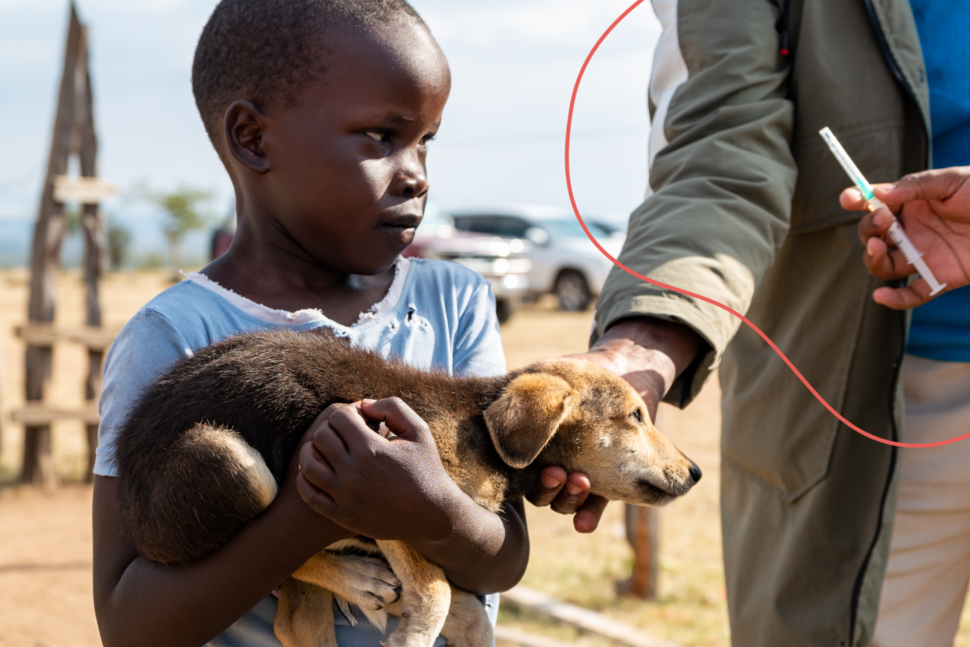 A young girl is holding her puppy which is about to be vaccinated against rabies.