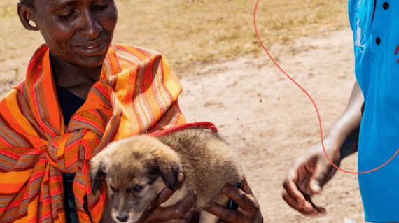 A woman is holding her puppy which is about to get its first rabies shot.
