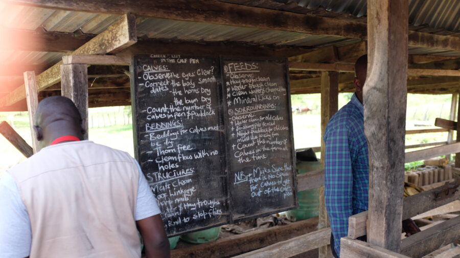 Farmers stand in a livestock shelter during a training session on animal and manure management.