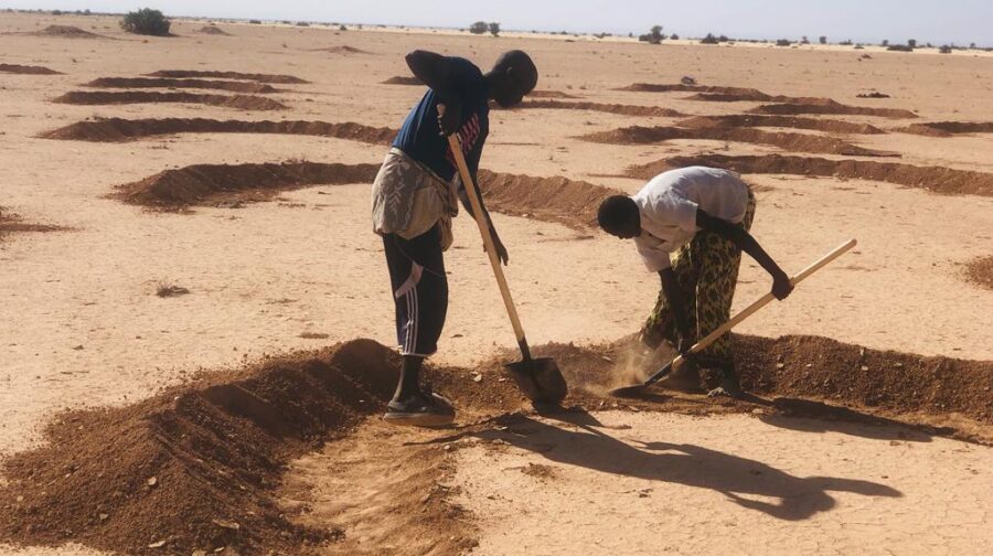 Young men digging dams.