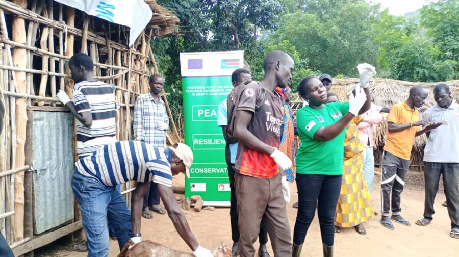 Men and women participate in a veterinary service activity during a community-based training session in South Sudan.