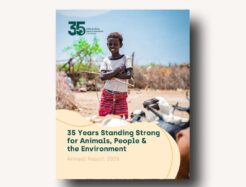 Mock-Up of Annual Report 2025