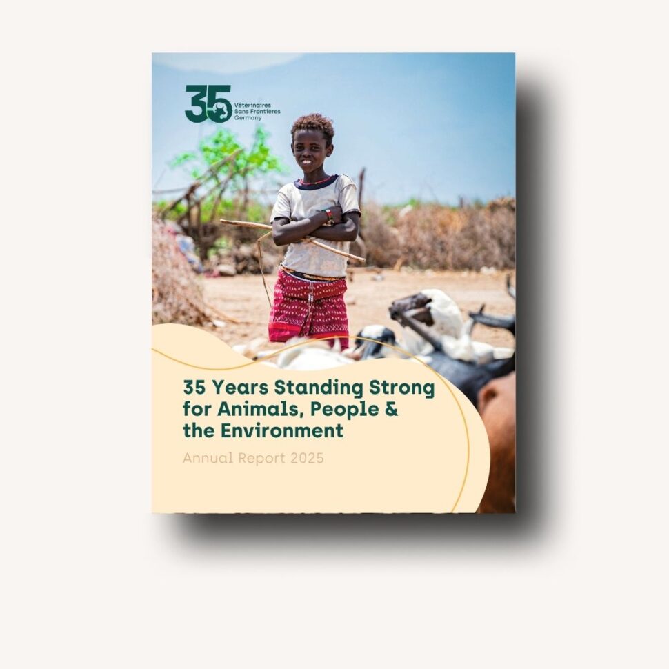 Mock-Up of Annual Report 2025